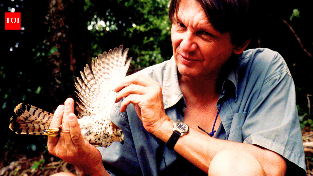 In 1974, just four Mauritius kestrels survived; Carl Jones revived their numbers to 600