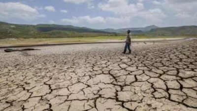 Gujarat alert: Devbhoomi Dwarka, Kutch, Jamnagar and Porbandar districts declared drought-affected; farmers to get Rs 8,500 per hectare