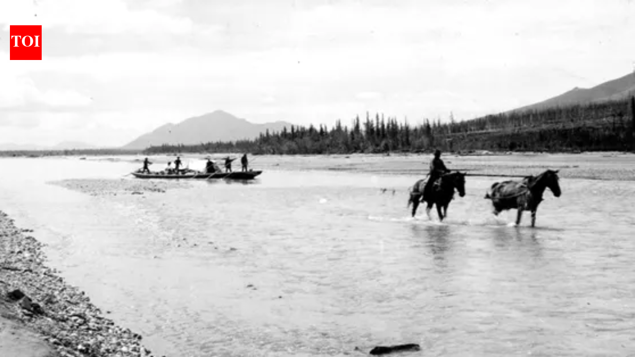 Alaska’s Koyukuk gold rush drew about 70 steamers upriver in 1898 and produced over $4 million by 1918, yet most boomtowns vanished as the region’s population fell by 1921