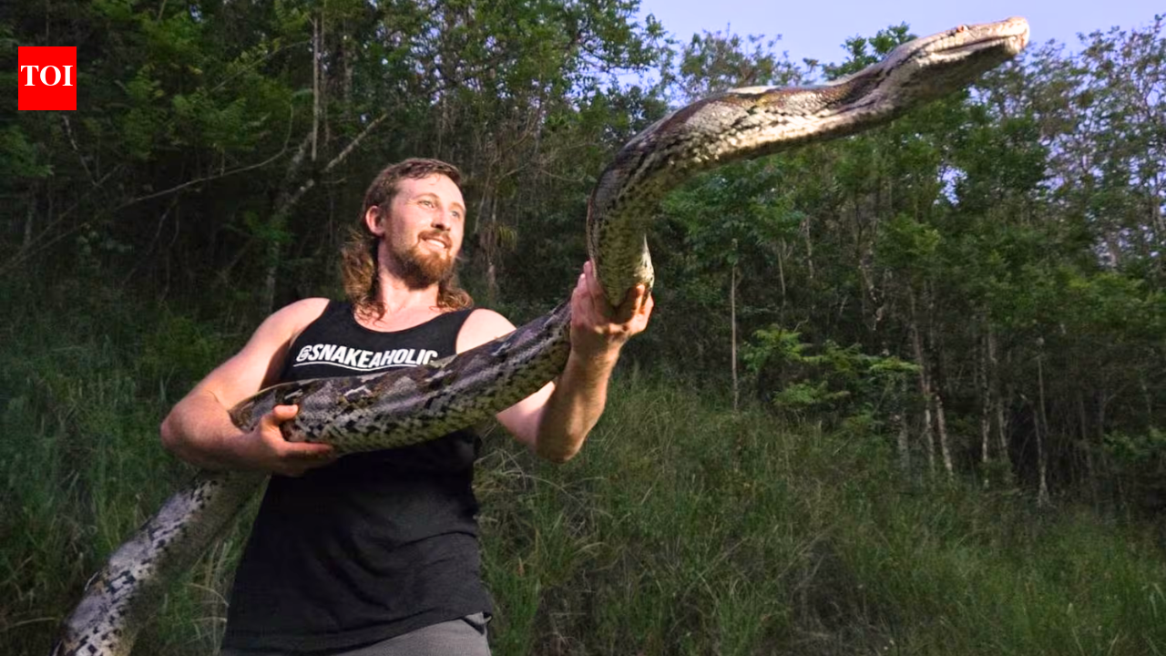 Florida hunter captures record 18-foot invasive python in Puerto Rico