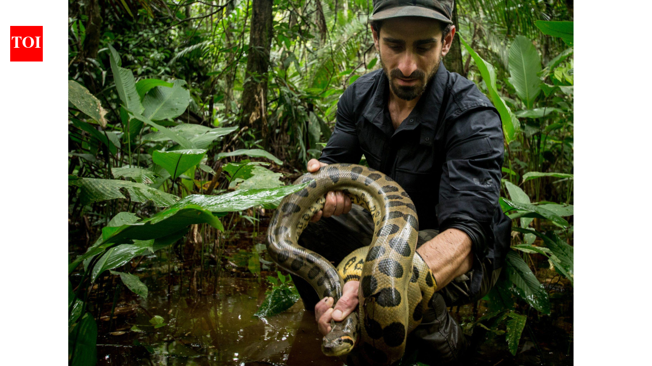 Meet Paul Rosolie: From Amazon explorer at 18 to protecting 160,000 acres of forest