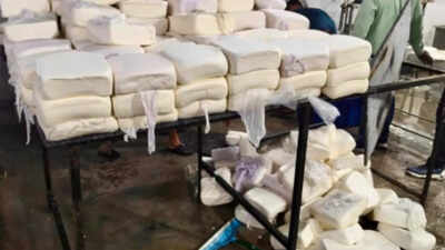 125kg spoiled paneer destroyed in Gurgaon raid; sweets, khoya samples sent for tests