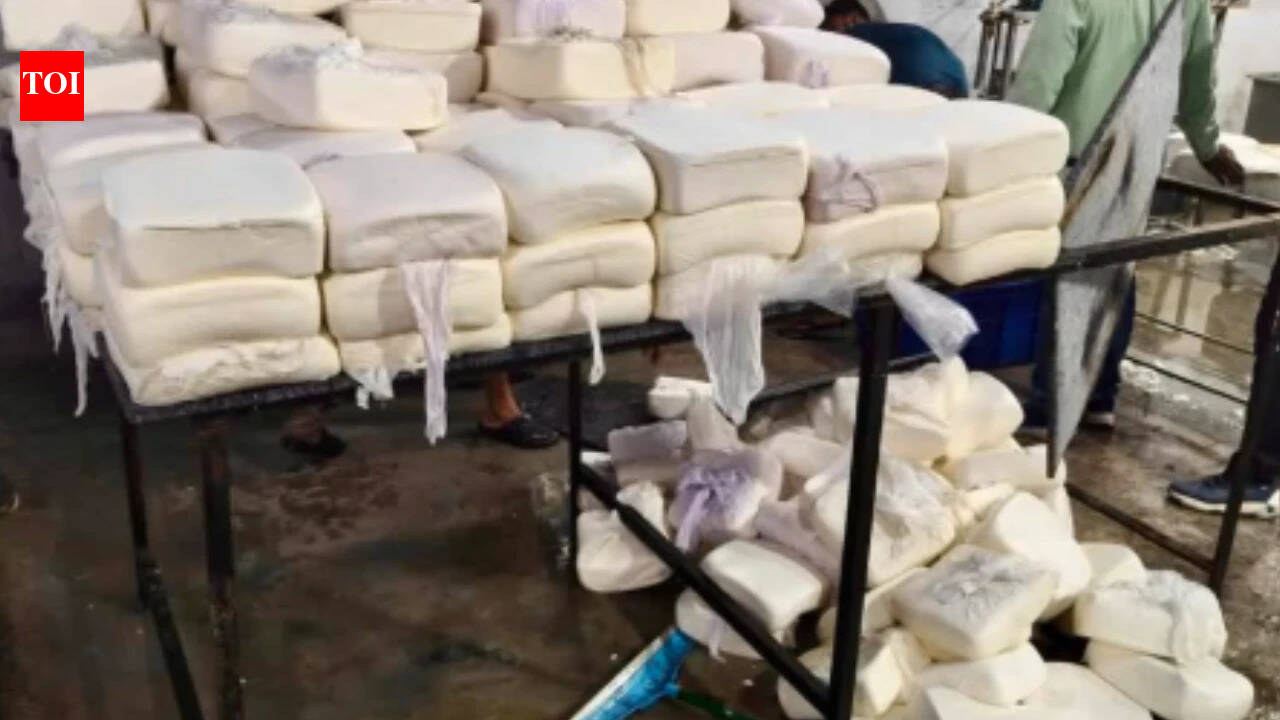 125kg spoiled paneer destroyed in Gurgaon raid; sweets, khoya samples sent for tests