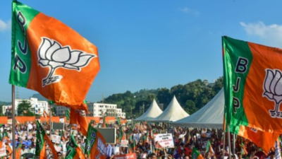 UP BJP announces its new state working committee to lay the broader contour of the poll road map for 2027 assembly elections
