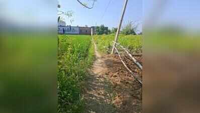One teacher, one room for 61 students at Rohtas school