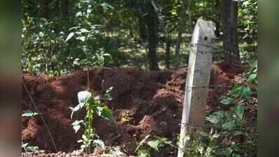 Gaur death in road accident exposes wildlife management failures