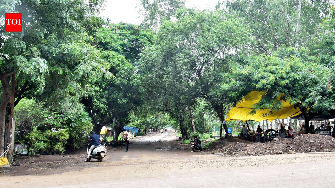 Kumbh push: Rs 65cr Mahatma Nagar-Motiwala College road to be ready by March 2027