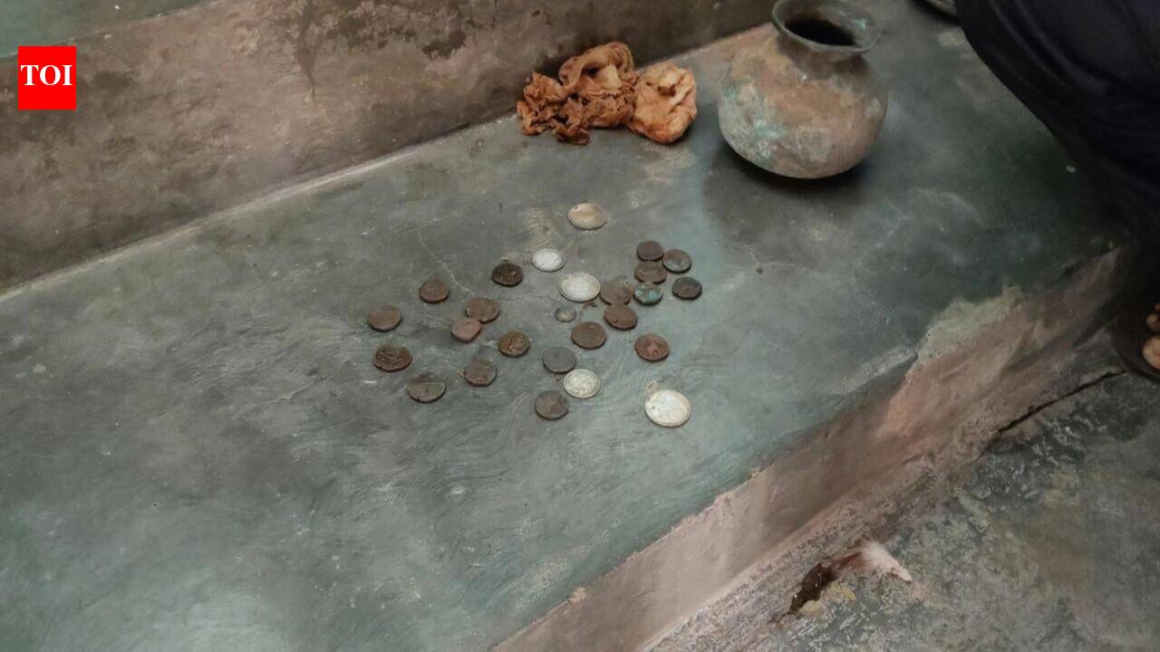 Kids dig a grave for tortoise, uncover 26 old coins | Hubballi News ...