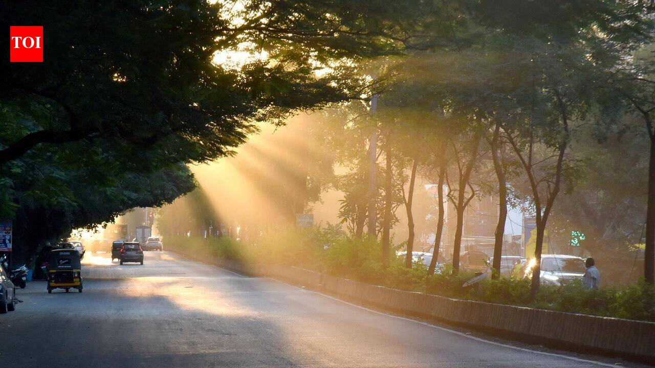 Nashik records season's lowest 16.2°C, Jalgaon coldest at 15.4°C