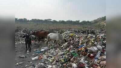 Garbage collection suffers over tender standoff with contractors