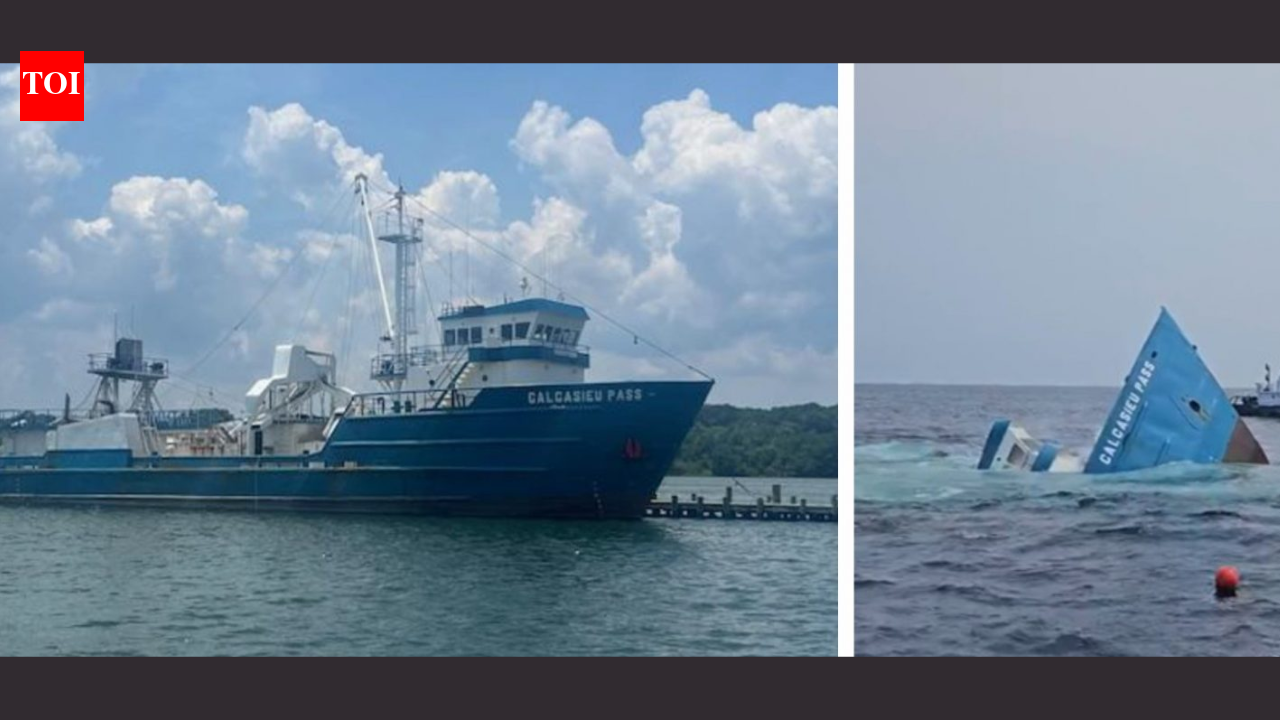 Delaware sinks 180-foot fishing vessel to create offshore reef, but fish population remain unmeasured