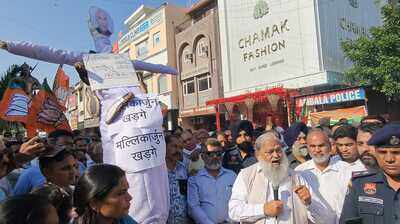 Nation won't tolerate insult To PM: Anil Vij burns Kharge's effigy in Ambala