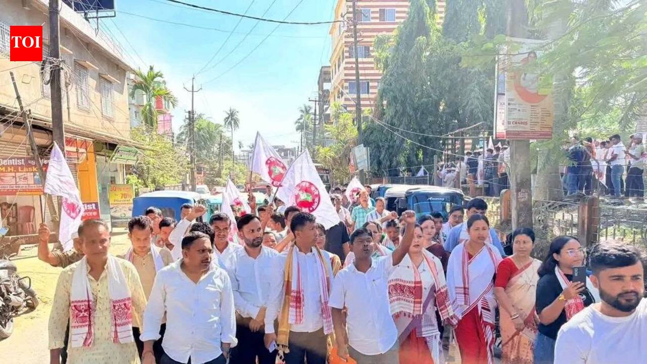 4 more held over assault on Bihu troupe in Sribhumi, SP rules out ...