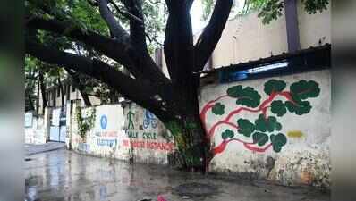 Uncounted and uncared for: city’s tree cover falls short of state green targets