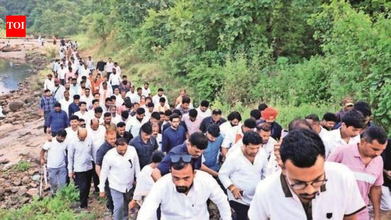 As anger grows, plan to cut 32k Karjat trees for power project halted