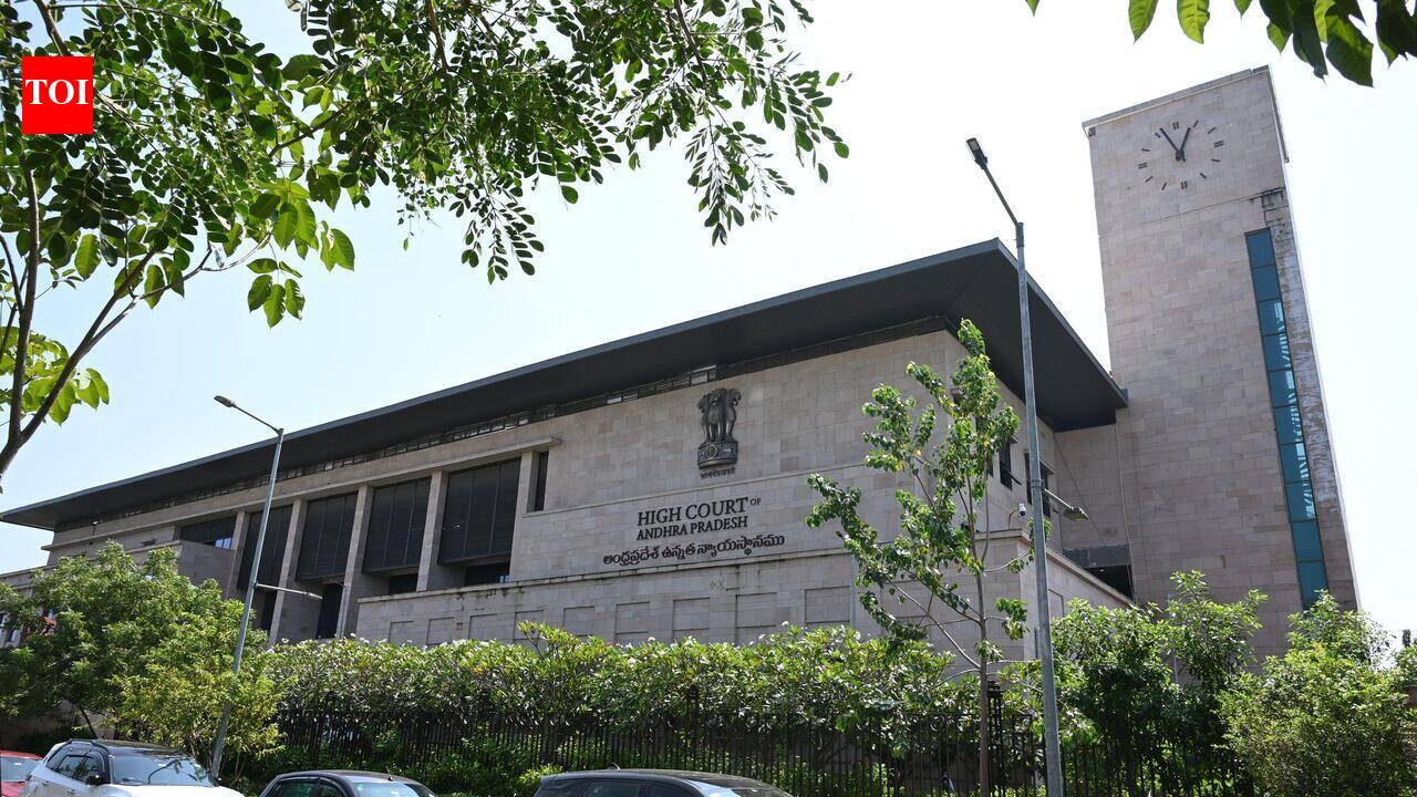 PIL seeks online filing of gram panchayat nominations