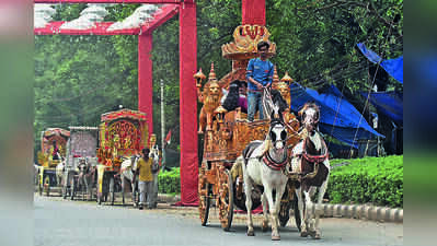 Spare Horses From Carriages In Kol Fast: Ex-MP, Bereaved Father Of New York Victim