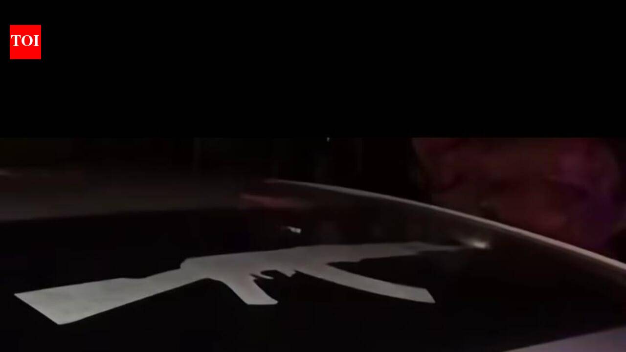 Mohali cop pulls up driver for ‘Mafia’ sticker, rifle image on car ...