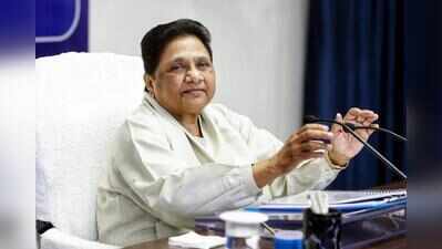 Akash to campaign, Ishan to handle legal affairs in BSP poll push