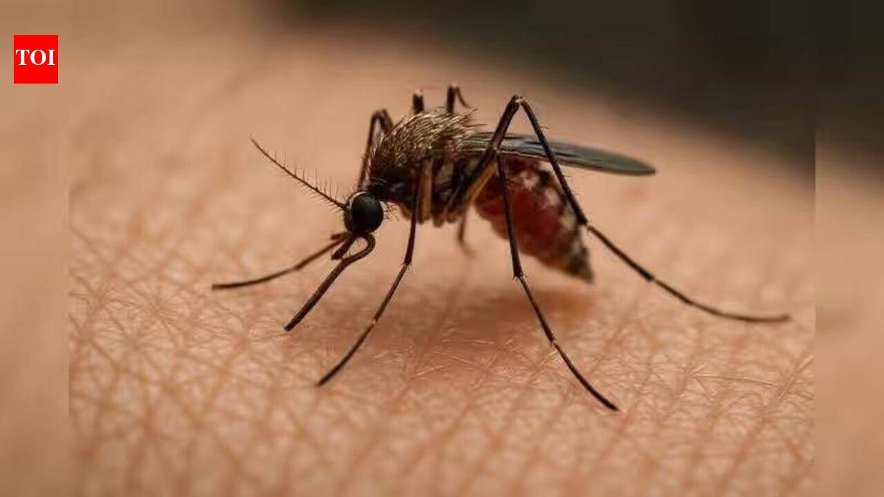 PMC issues notice to Hadapsar hosp over dengue test record mismatch