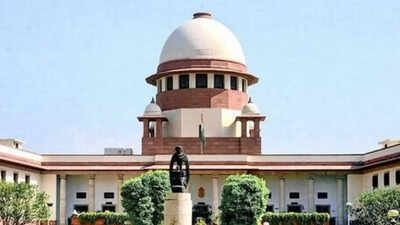 ‘New privacy law violates freedom of speech, threatens journalistic activity’: Digital news body may move SC
