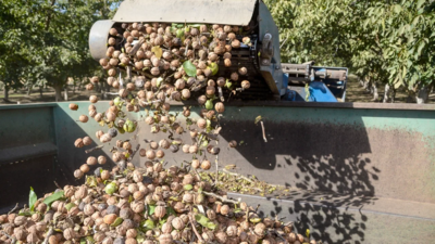 In 2024, a California walnut farmer turned a small email experiment into a major change in his business: Just 300 of 10,000 cherry customers opted in, yet direct sales helped triple his walnut crop's gross revenue