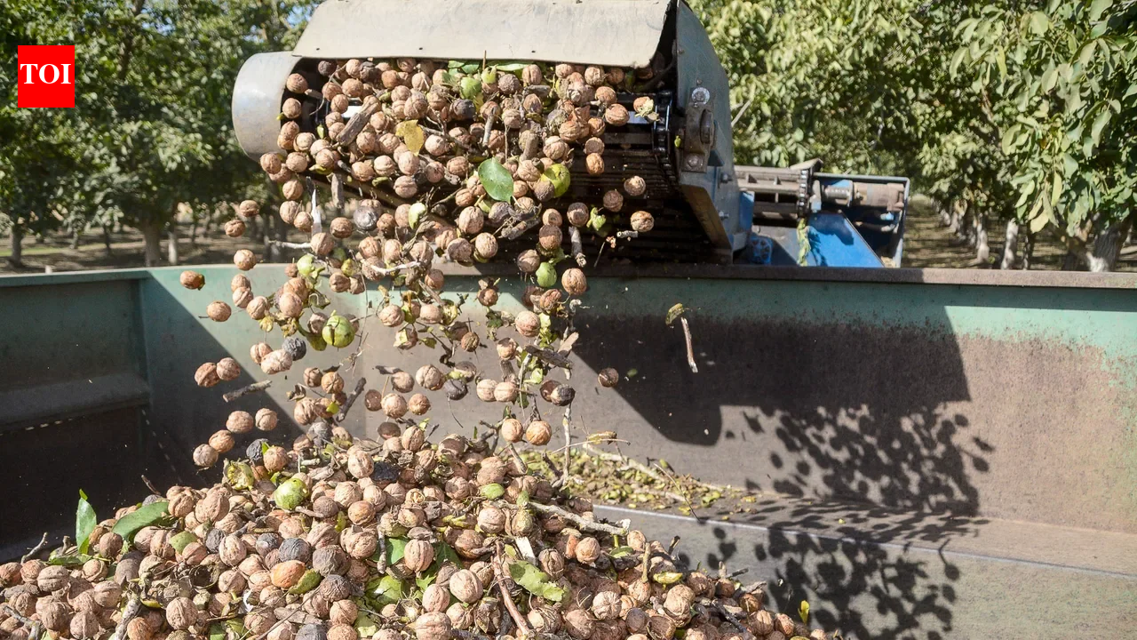 In 2024, a California walnut farmer turned a small email experiment into a major change in his business: Just 300 of 10,000 cherry customers opted in, yet direct sales helped triple his walnut crop's gross revenue