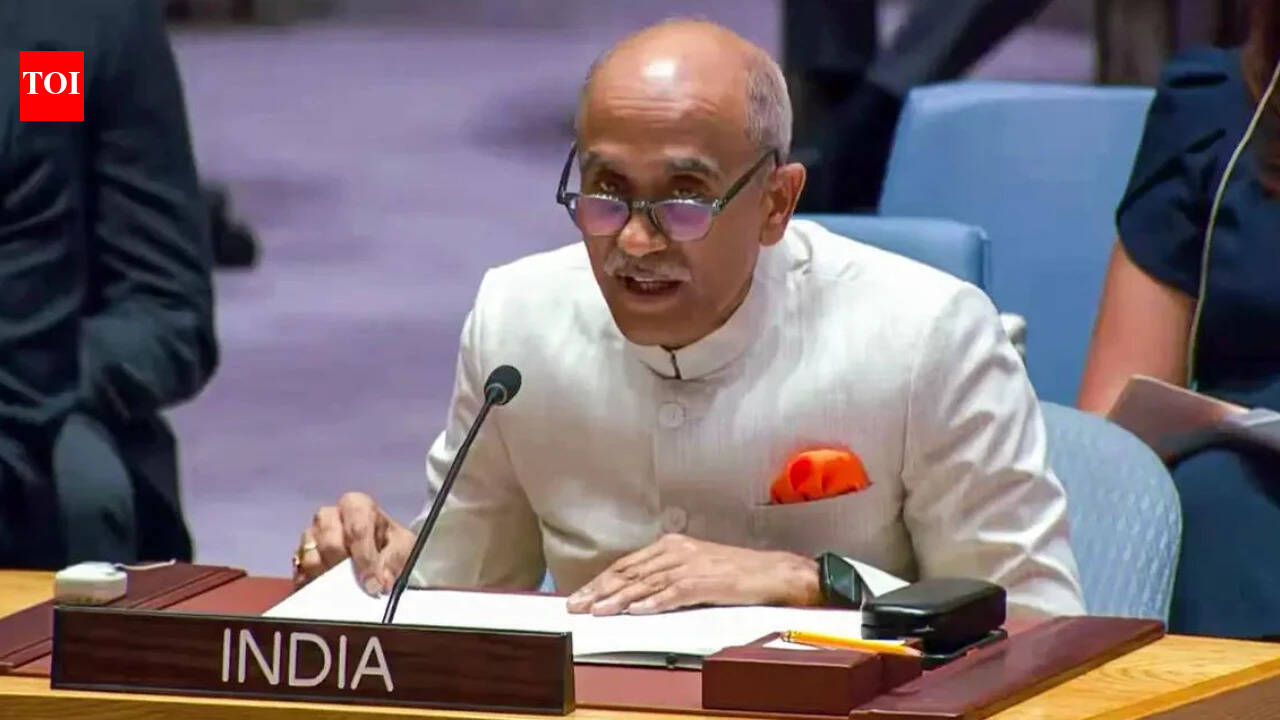 'Veto should be held by all permanent members': India at UN