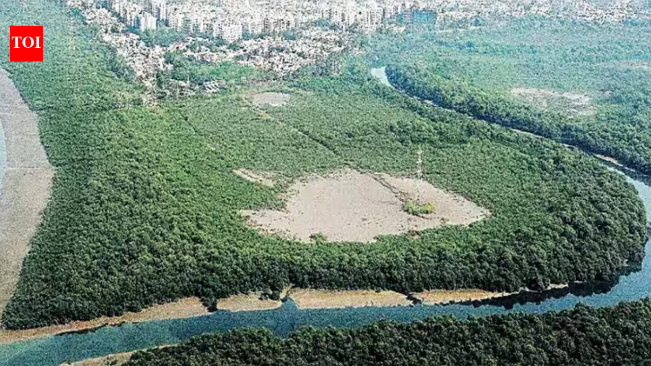 Plan to cut 400+ trees for 2nd GMLR flyover & interchange | Mumbai News ...