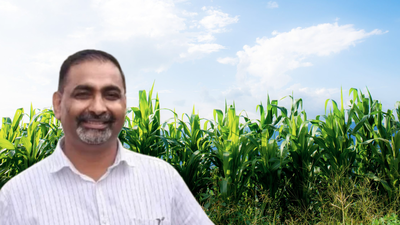 Meet Arun Chauhan, the Haryana farmer who moved away from paddy to a 75-day sweet corn crop, says he now makes nearly Rs 25 lakh a year, and helped a village build an 80-member, Rs 4-crore farming collective