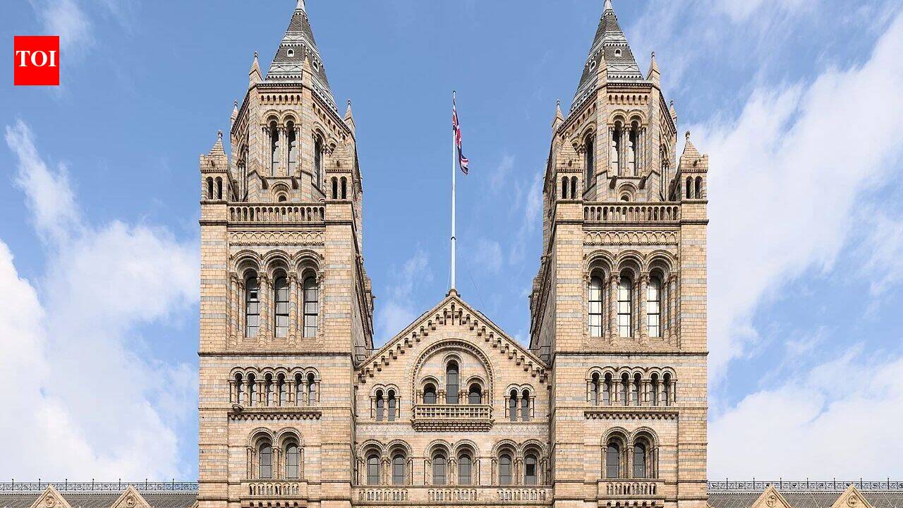 London's Natural History Museum wins tax fight to cut rental value to just £1