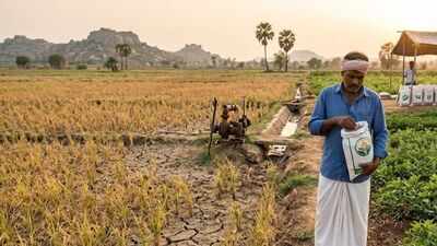 A wild hurdle: Telangana govt's crop switch runs into a monkey trap