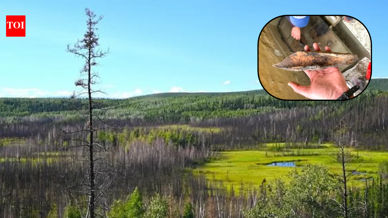 13,800-year-old Alaska campsite reveals tools, a hearth and clues to early life near Beringia