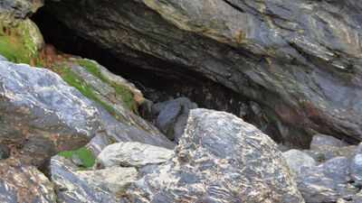 Cornwall’s Holywell Cave, known for its colourful rock formations and appearance in Poldark, collapses after an overnight cliff fall, leaving the historic coastal landmark sealed off