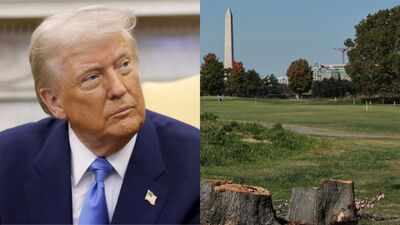 A US judge extends a ban on further tree removal at Trump's historic Washington golf course, where more than 400 trees were cut, and orders advance notice before other irreversible work on the site