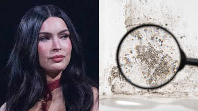 In 2016, Megan Fox bought a $3.3 million Malibu home, then sued for $5 million over alleged mold and other defects; after a three-year court fight, she reportedly accepted a $100,000 settlement in 2021