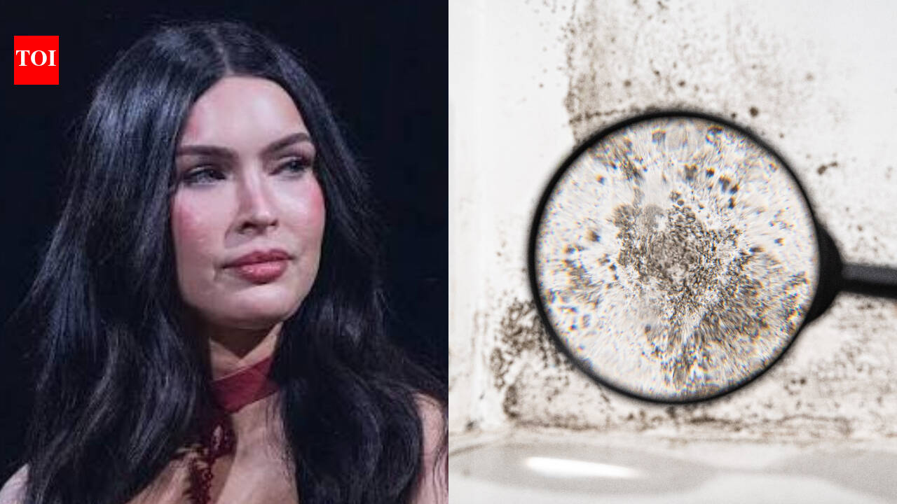 Megan Fox's $5m Malibu home defects case reportedly settled for $100k in 2021