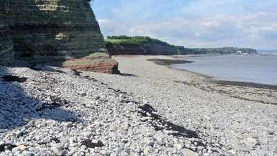 Fossil jaw found on Welsh beach helped scientists solve a nearly 200-year mystery about ancient fish teeth and reveals two distinct species
