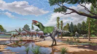 A fossil found on England’s Isle of Wight in 1924 revealed a previously unknown long-clawed dinosaur; researchers identified the first megaraptor of its kind known from Europe