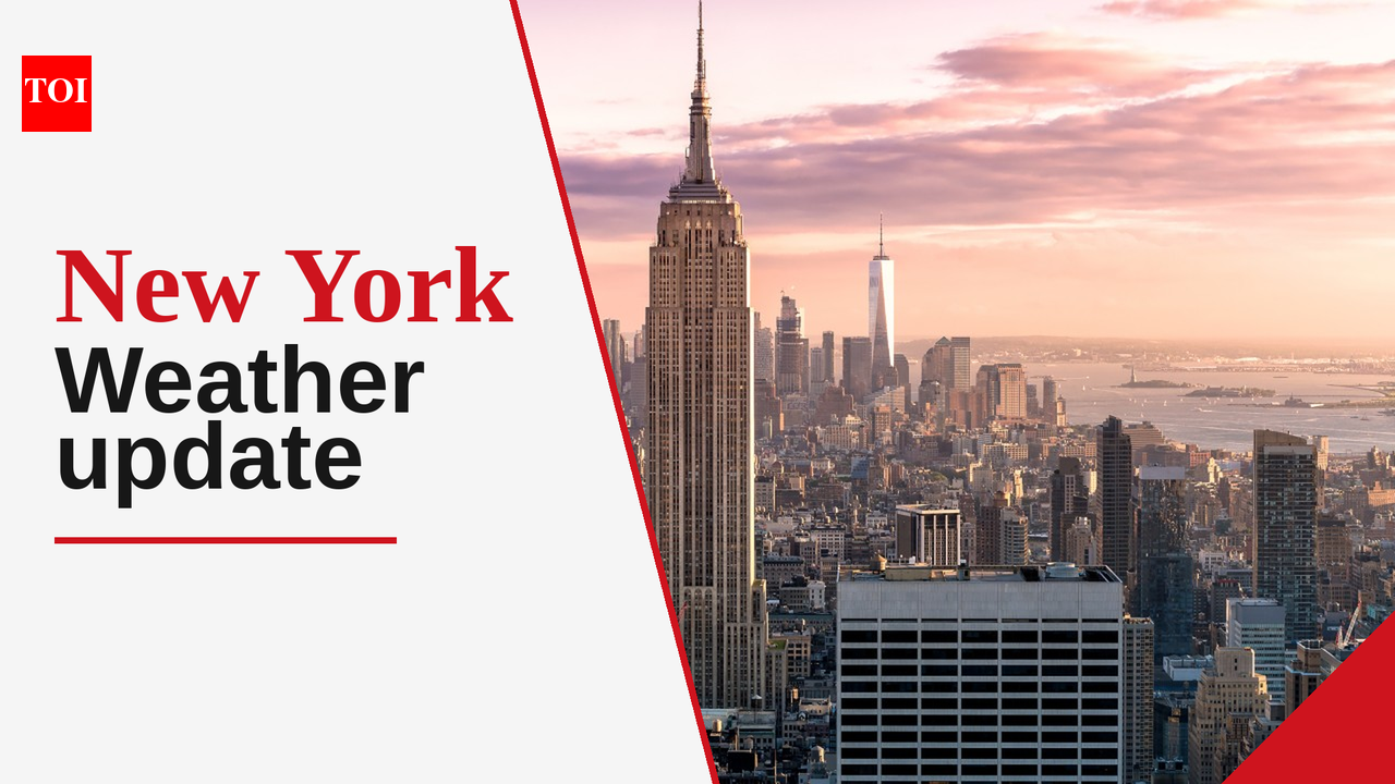 Delightful autumn weather in New York: Mostly sunny with a high of 16°C today
