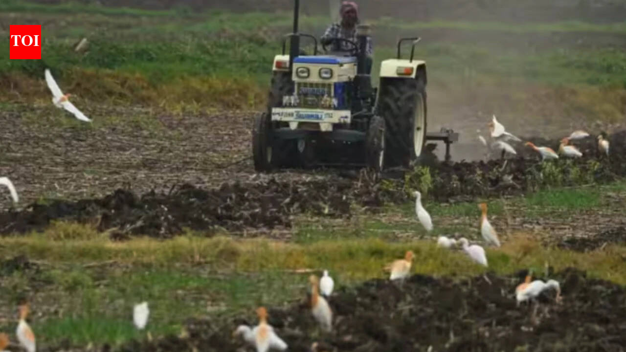 Agricultural input subsidy scheme of the Uttar Pradesh government