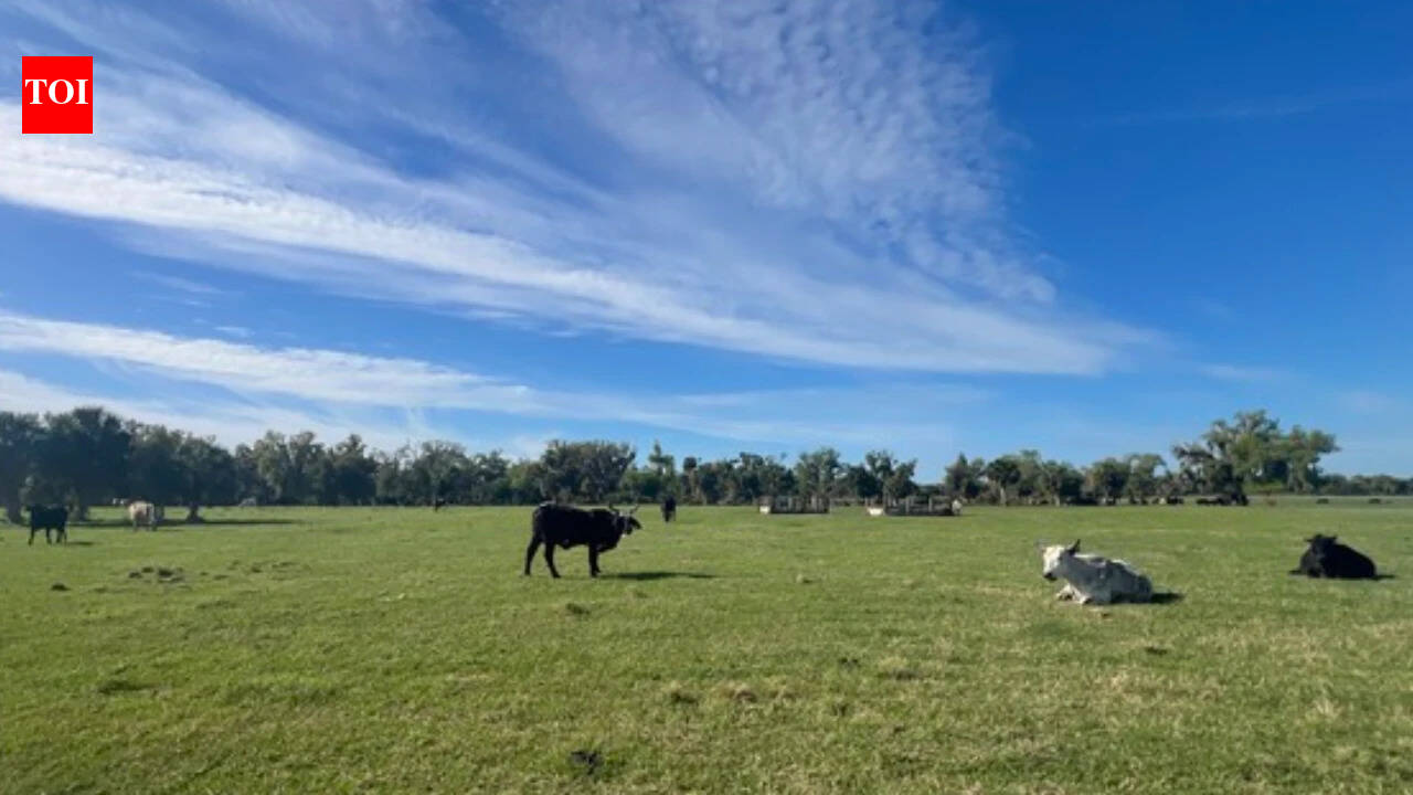 Florida approves $20.15m easement protecting 219-acre ranch from development
