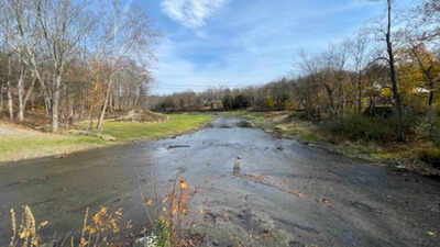 In 2019, New Jersey completed the removal of the old Columbia Dam and reopened about 14 km of river; a 2026 study found juvenile eels, sea lampreys and American shad upstream after years of monitoring