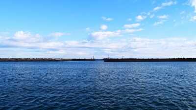Scientists collected DNA from seawater at 316 sites across Japan and found 126 fish species farther north than previously recorded, revealing how warming seas may be reshaping where coastal wildlife can survive