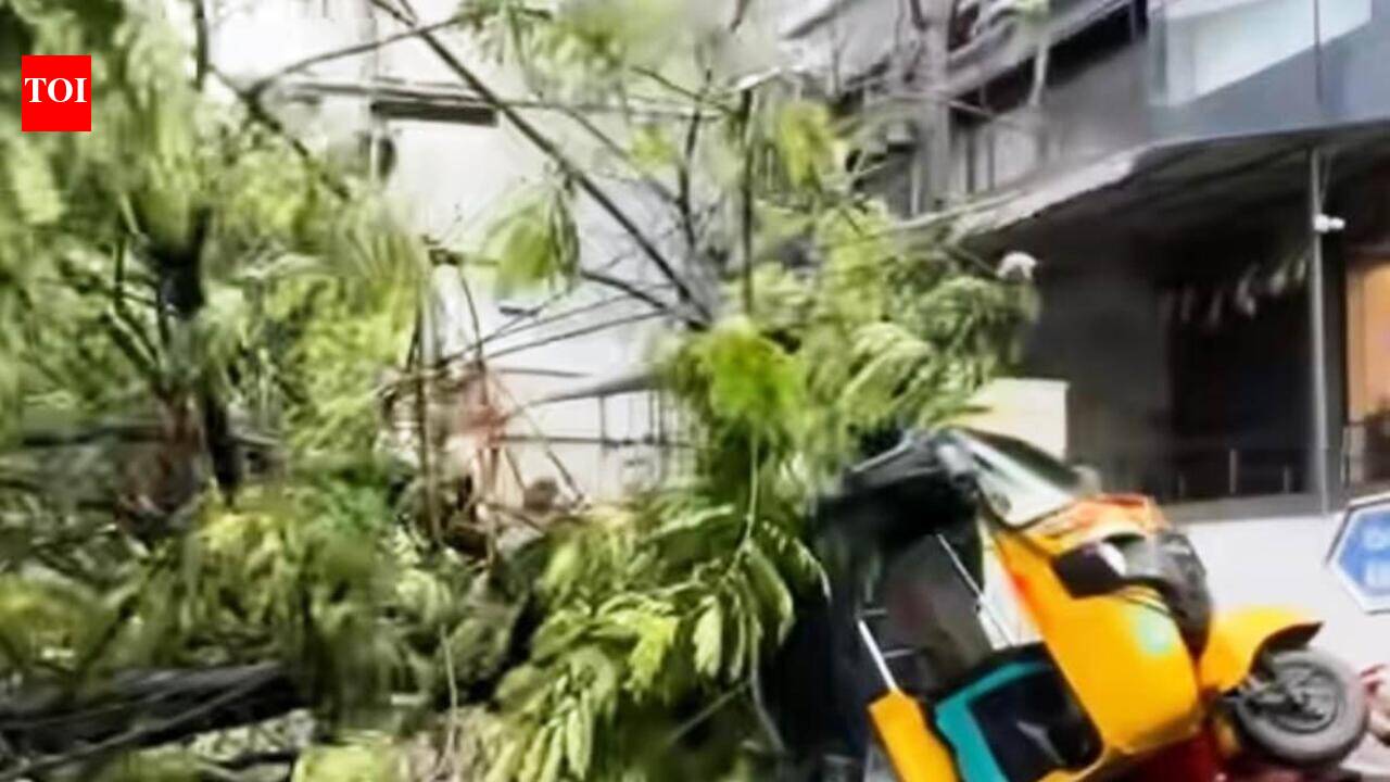 Heavy rain, gusty winds batter Visakhapatnam; trees uprooted, roads ...
