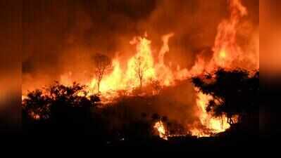 Eastern Ghats see rising wildfires, Western Ghats record 10.8% annual decline: Study