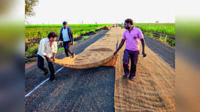Tamil Nadu Coir Industry Faces Layoffs Amid Export Slowdown, Seeks Govt Aid