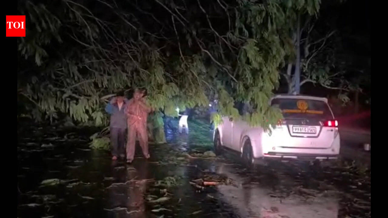 Cyclone Arnab: Heavy rainfall, strong gusty winds start sweeping across Yanam