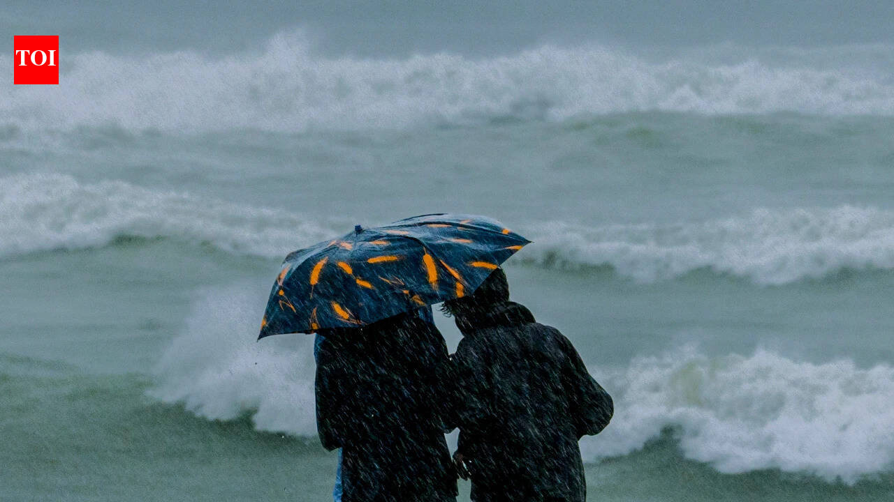 Aviation ministry suspends ops at three Andhra airports as Cyclone Arnab intensifies