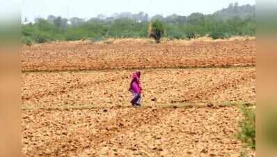 Gujarat govt approves Rs 174 crore interest subsidy for 10 lakh farmers